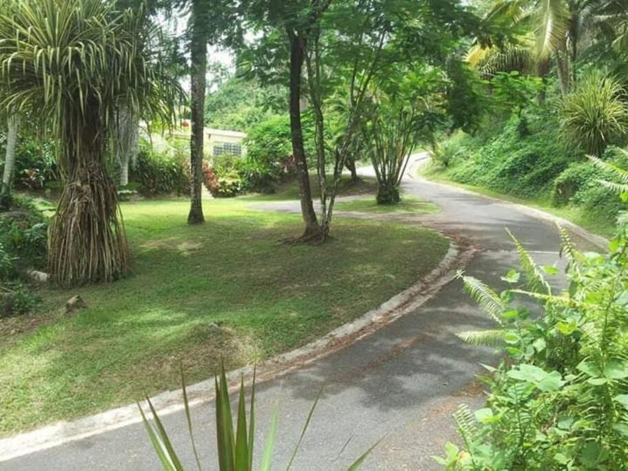 Swim & Paint Art Retreat Apartment Las Piedras Ngoại thất bức ảnh