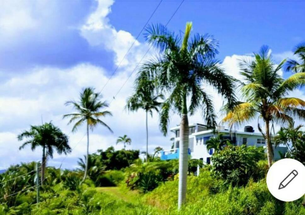 Swim & Paint Art Retreat Apartment Las Piedras Ngoại thất bức ảnh