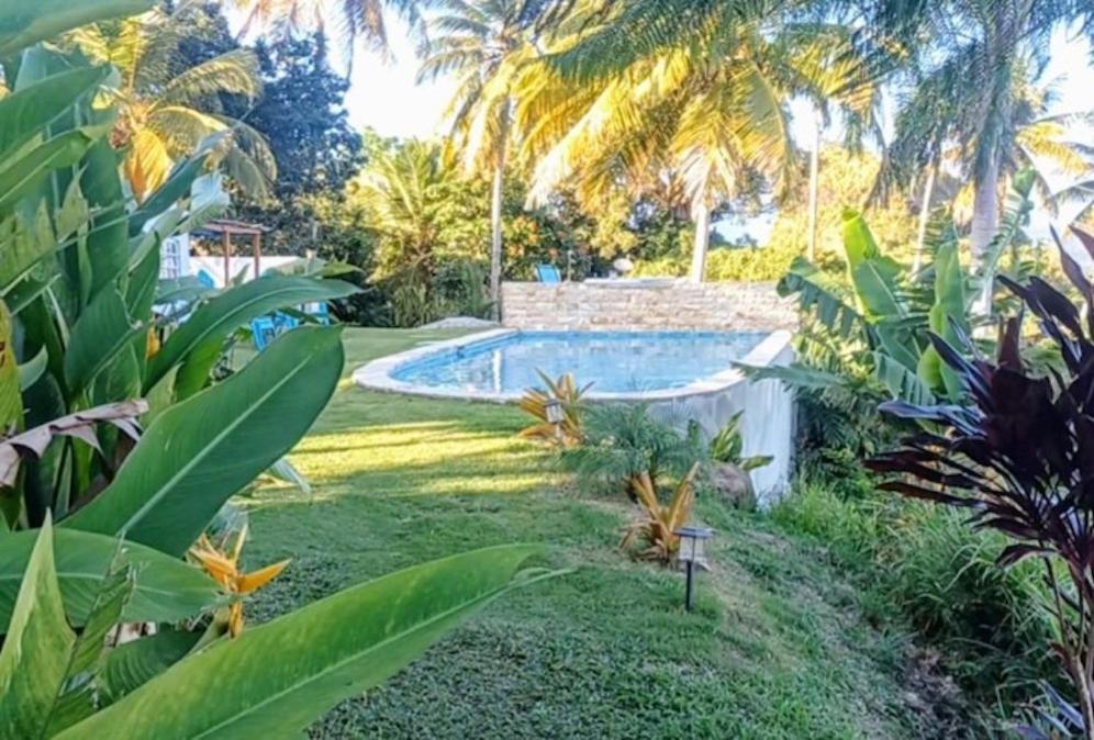 Swim & Paint Art Retreat Apartment Las Piedras Ngoại thất bức ảnh
